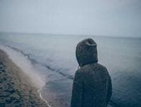 Web Development Solutions